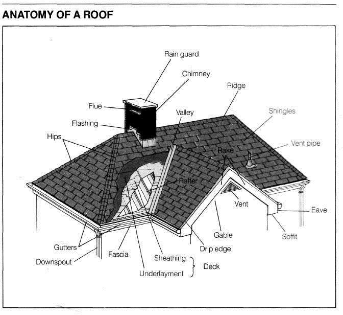 anatomy-of-a-roof